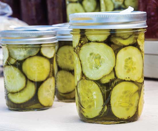 Teresa’s sweet pickles are Joel’s favorite food.